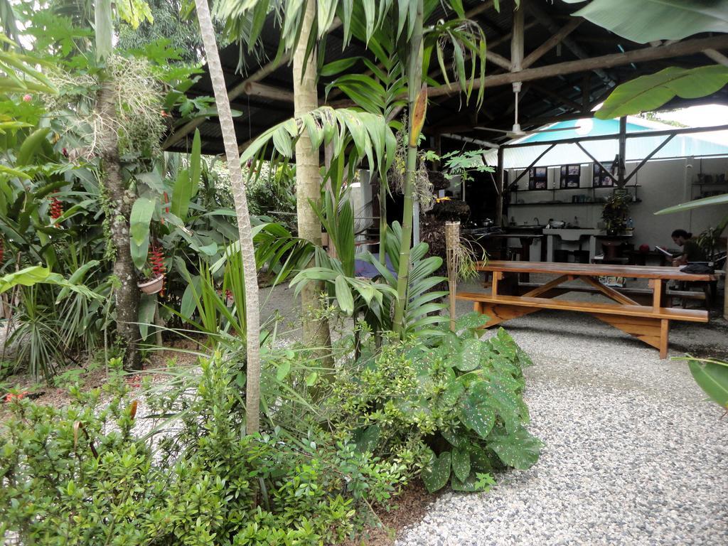 Cabinas Tropicales Puerto Jiménez Quarto foto